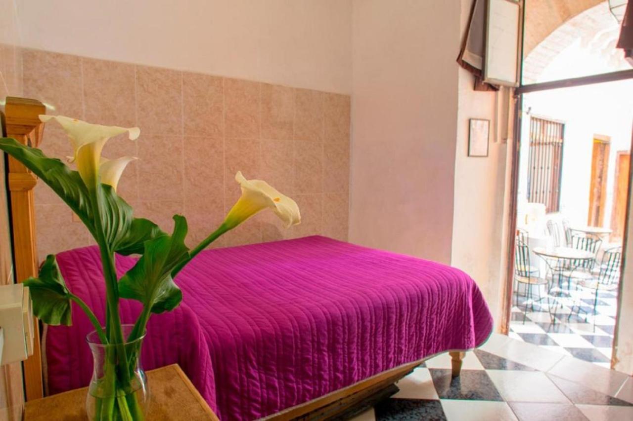 גואנאחואטו Casa Lupita Hostel מראה חיצוני תמונה